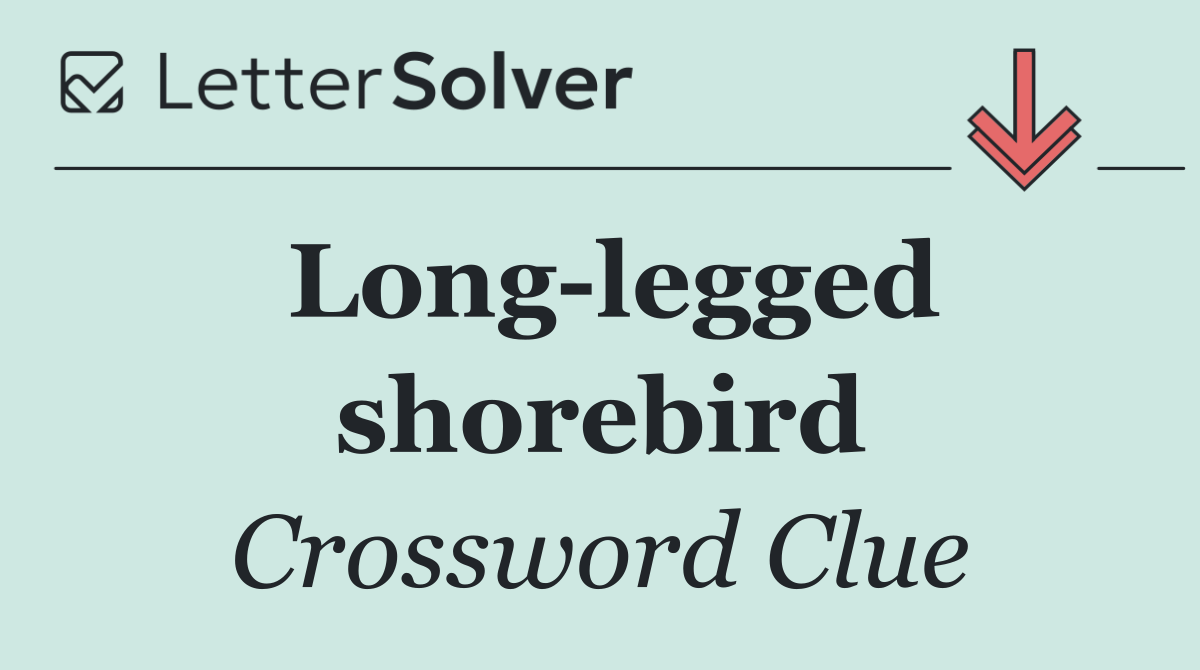 Long legged shorebird