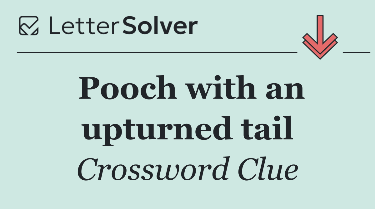 Pooch with an upturned tail