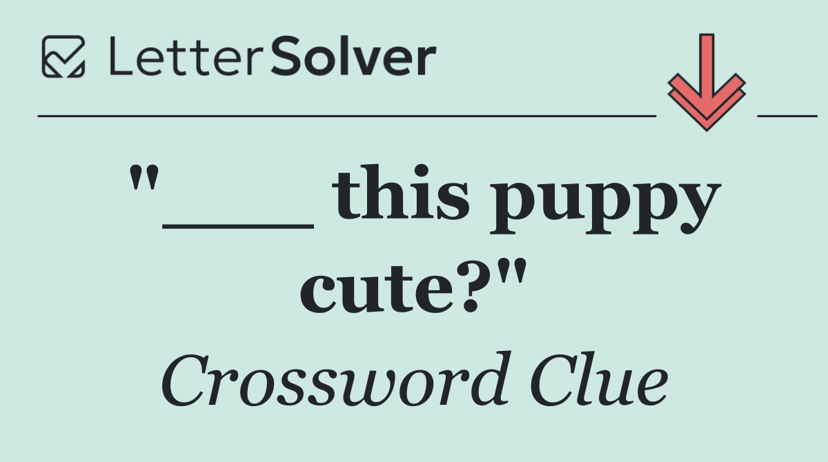 "___ this puppy cute?"