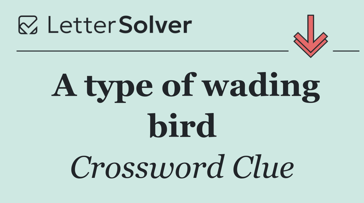 A type of wading bird