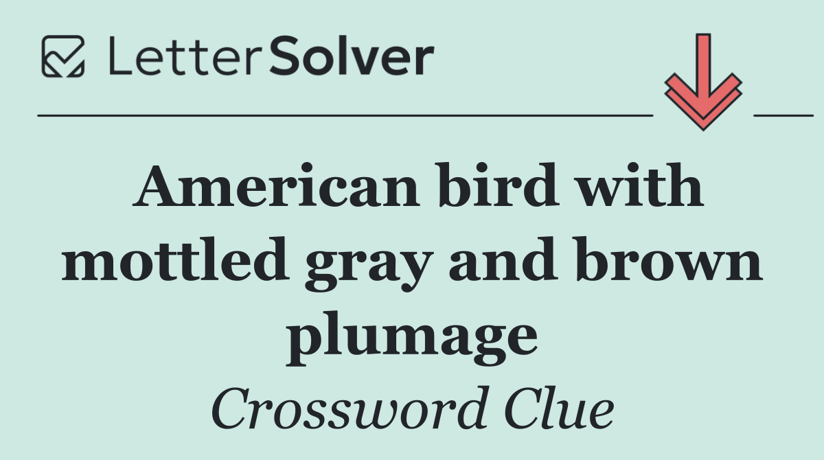 American bird with mottled gray and brown plumage