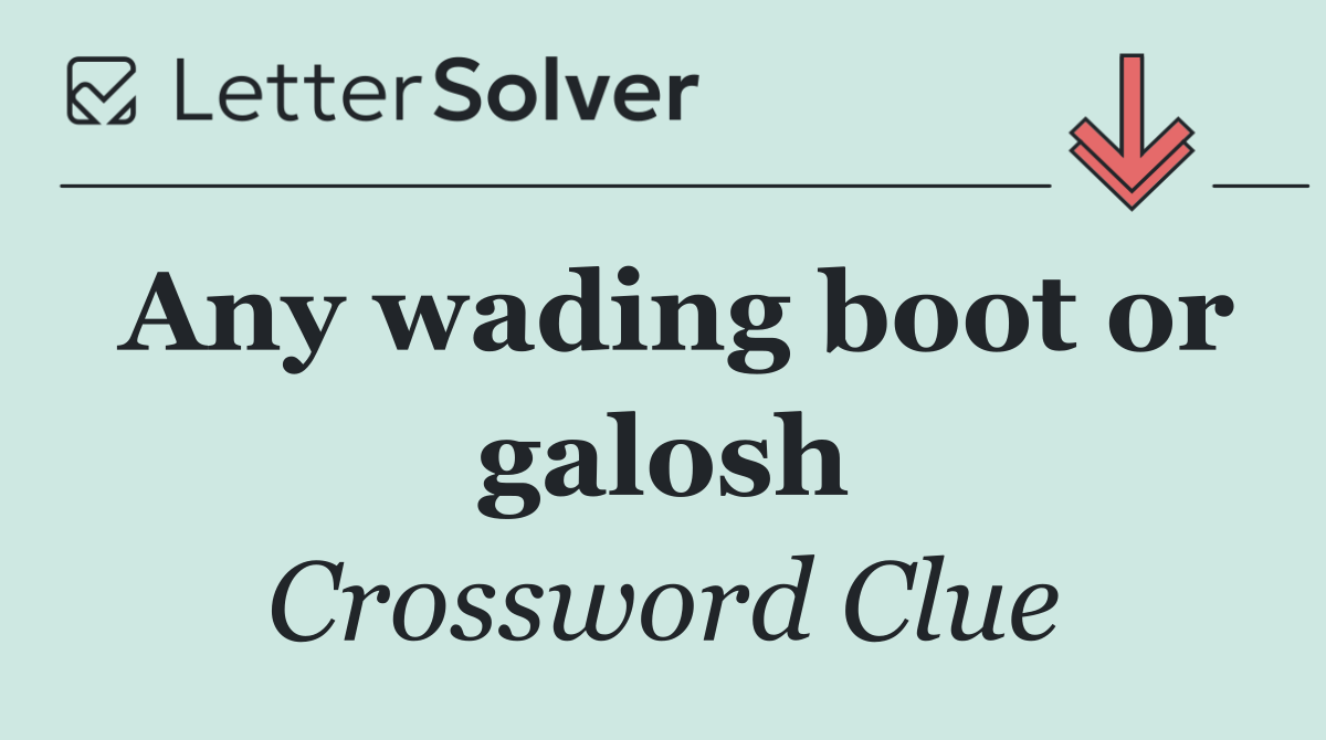 Any wading boot or galosh