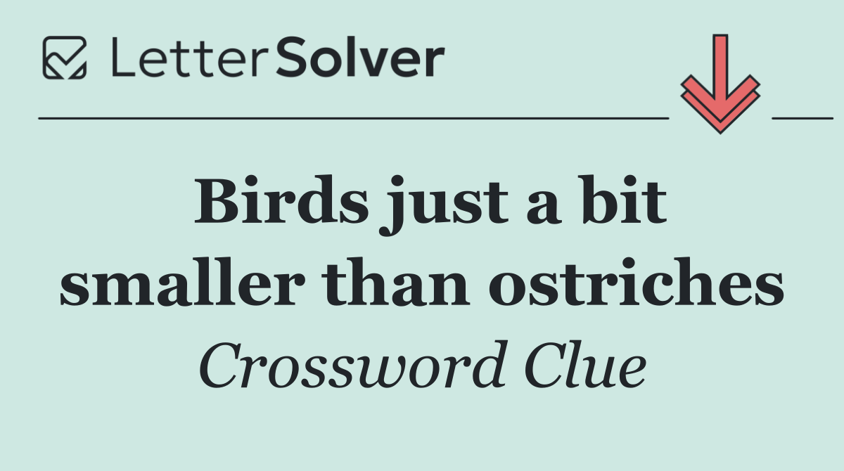 Birds just a bit smaller than ostriches