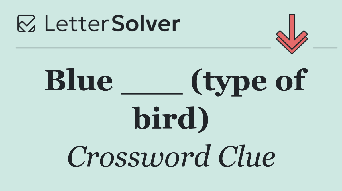 Blue ___ (type of bird)