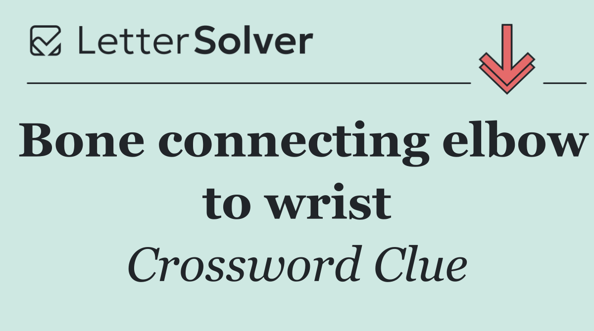 Bone connecting elbow to wrist