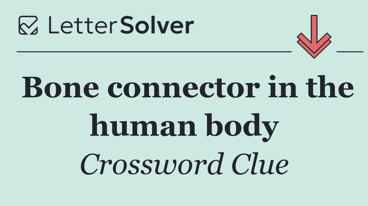 Bone connector in the human body
