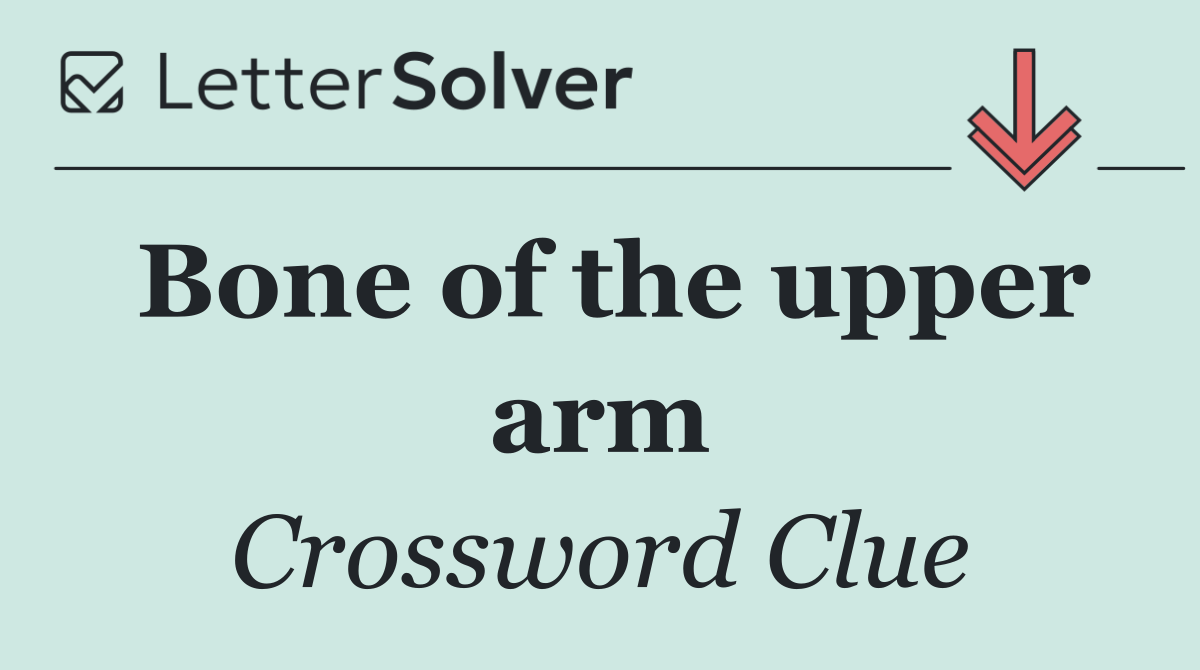 Bone of the upper arm