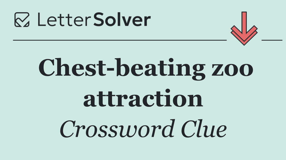 Chest beating zoo attraction