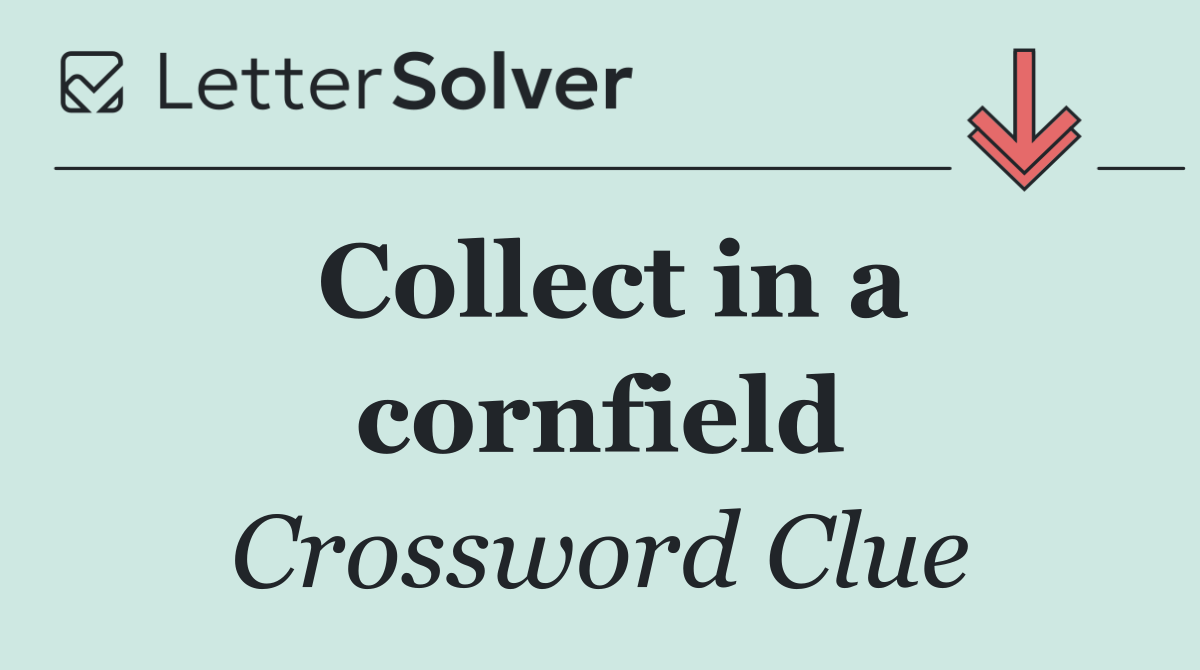 Collect in a cornfield