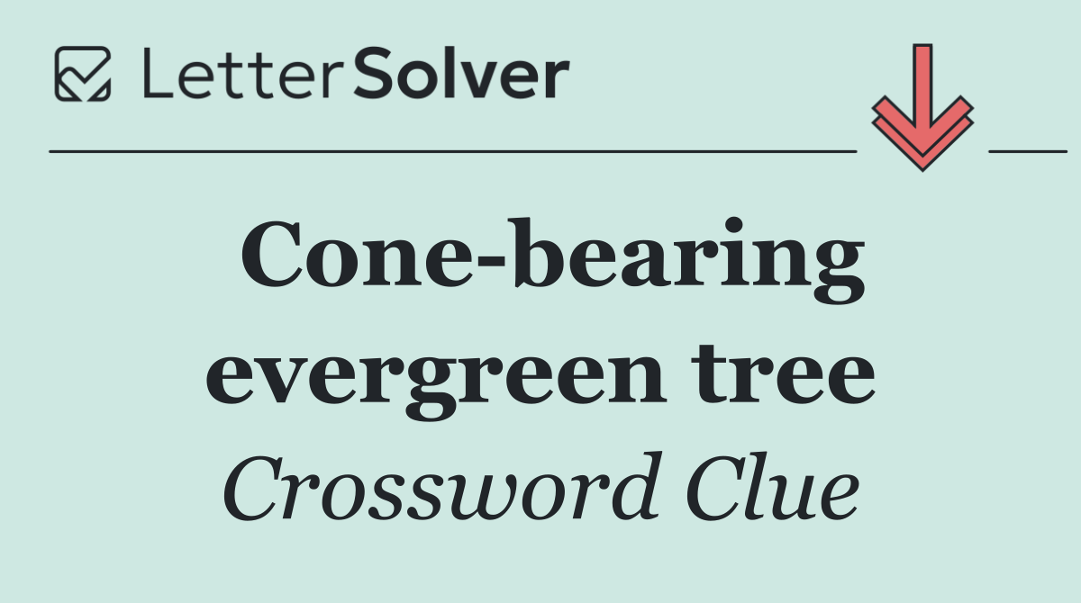Cone bearing evergreen tree