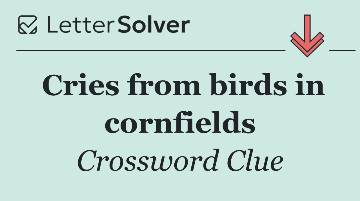 Cries from birds in cornfields