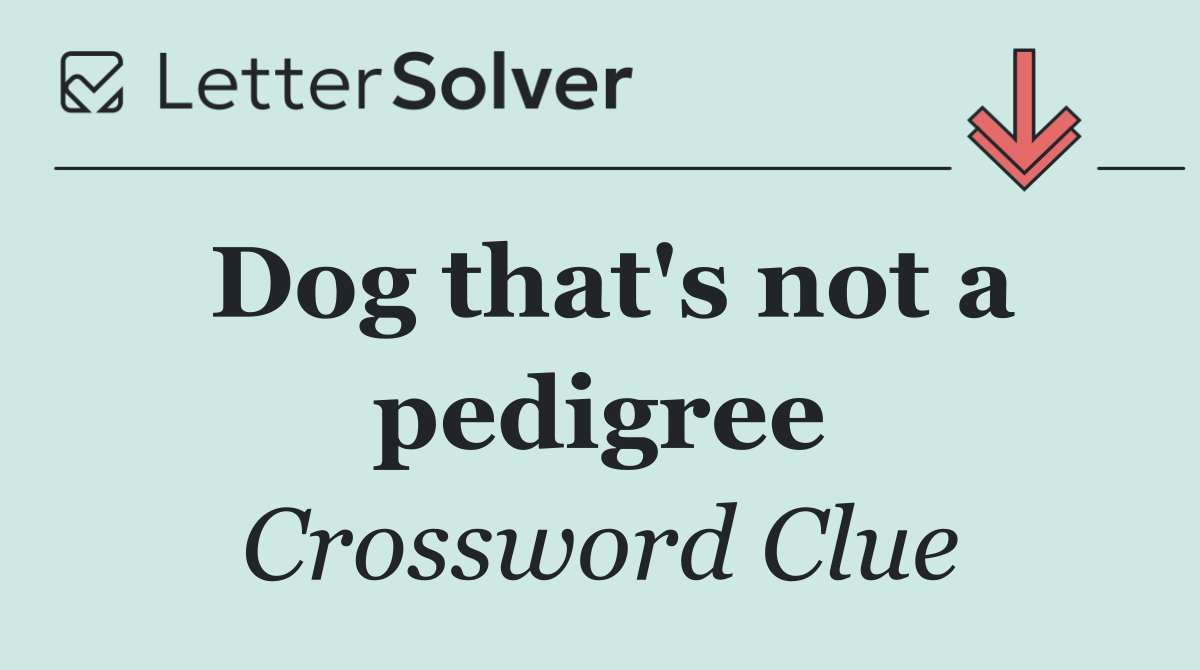 Dog that's not a pedigree