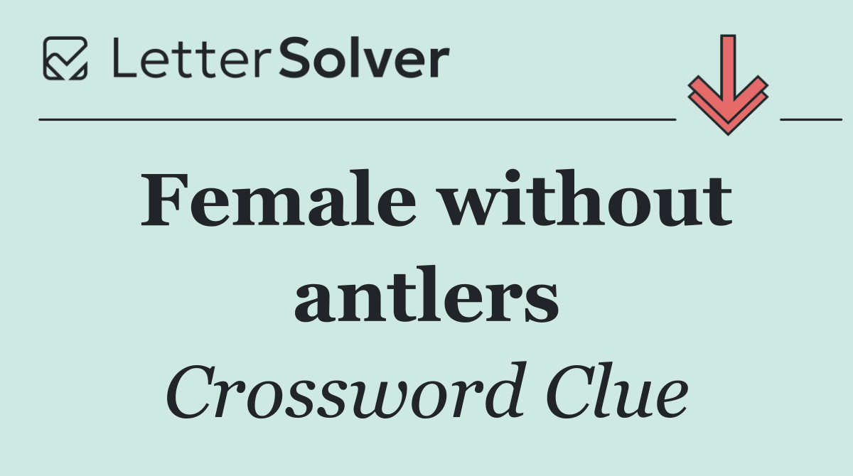 Female without antlers