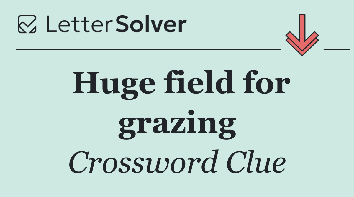 Huge field for grazing