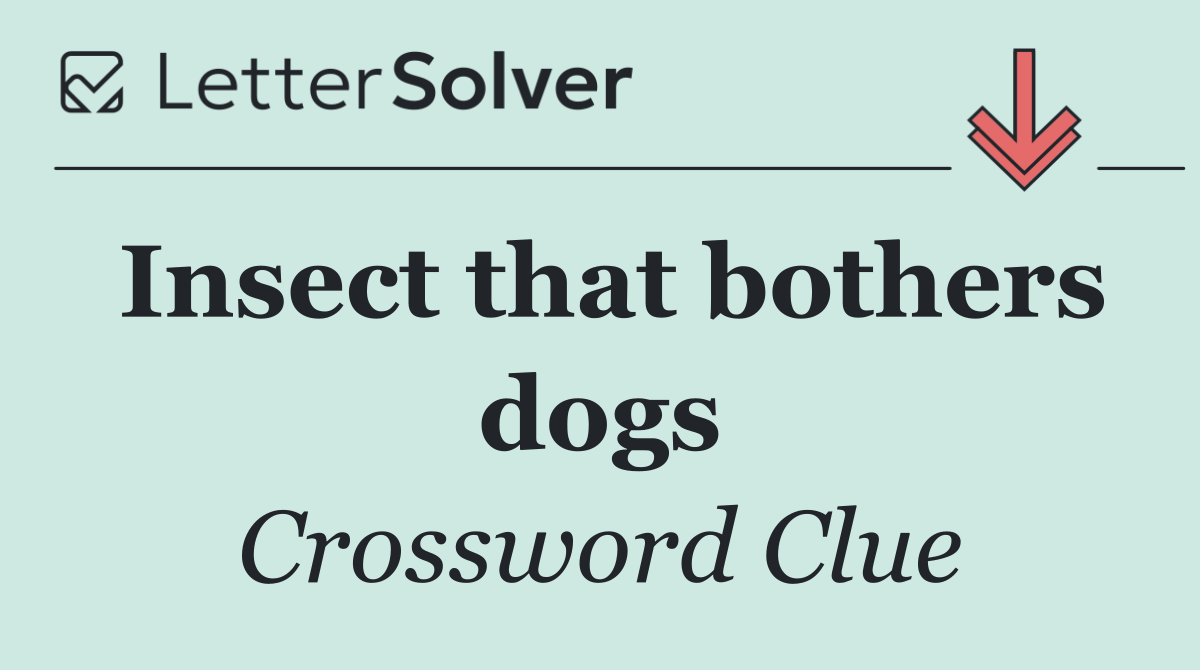 Insect that bothers dogs