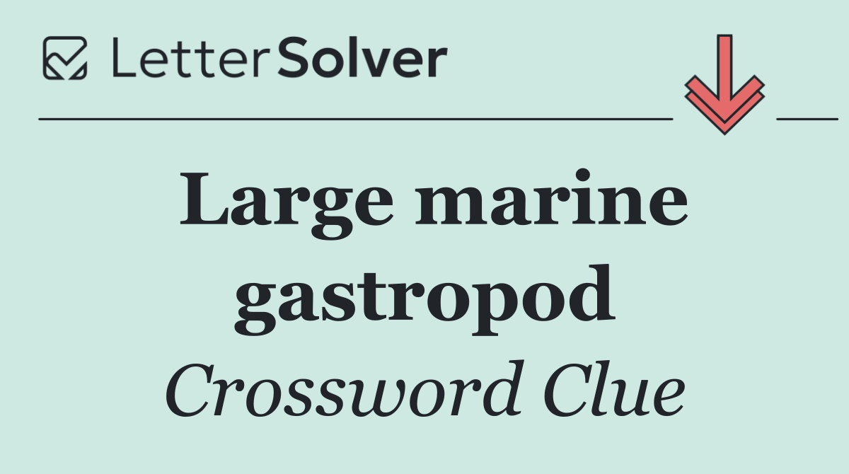 Large marine gastropod