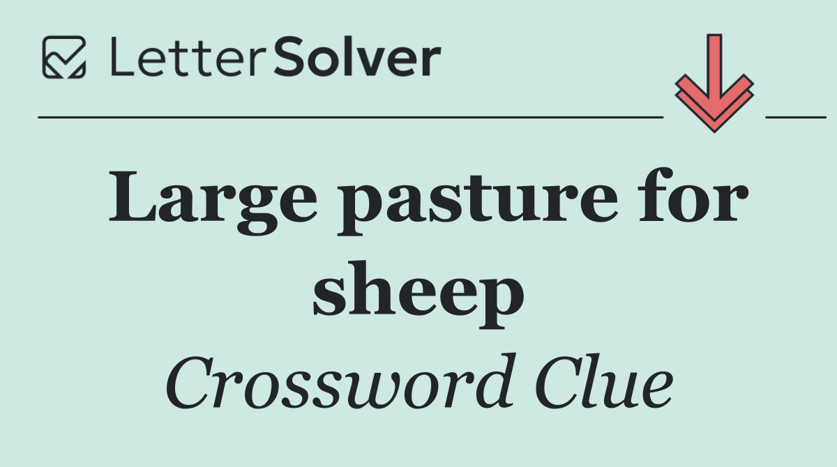 Large pasture for sheep