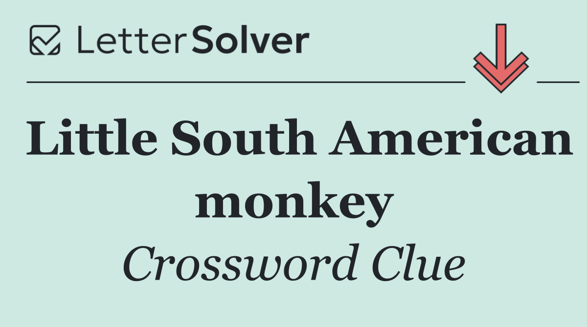Little South American monkey