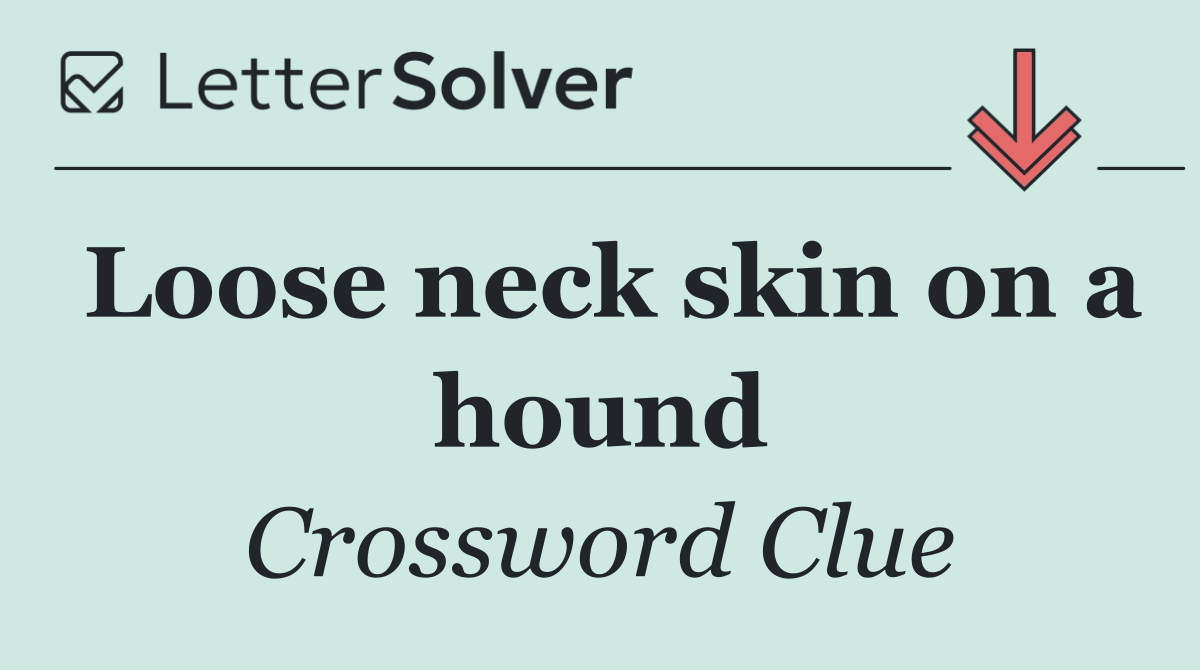 Loose neck skin on a hound
