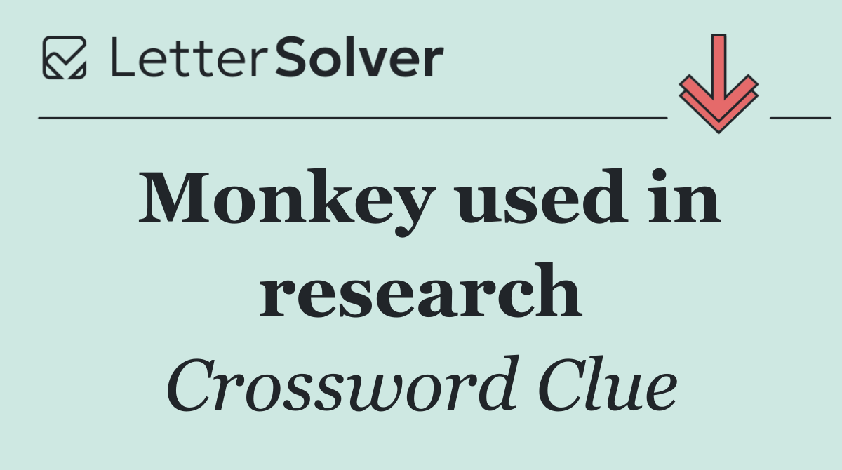 Monkey used in research