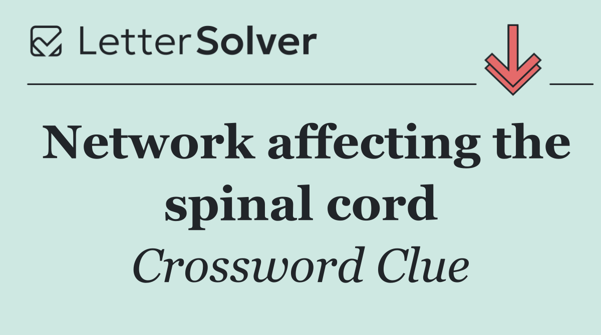Network affecting the spinal cord