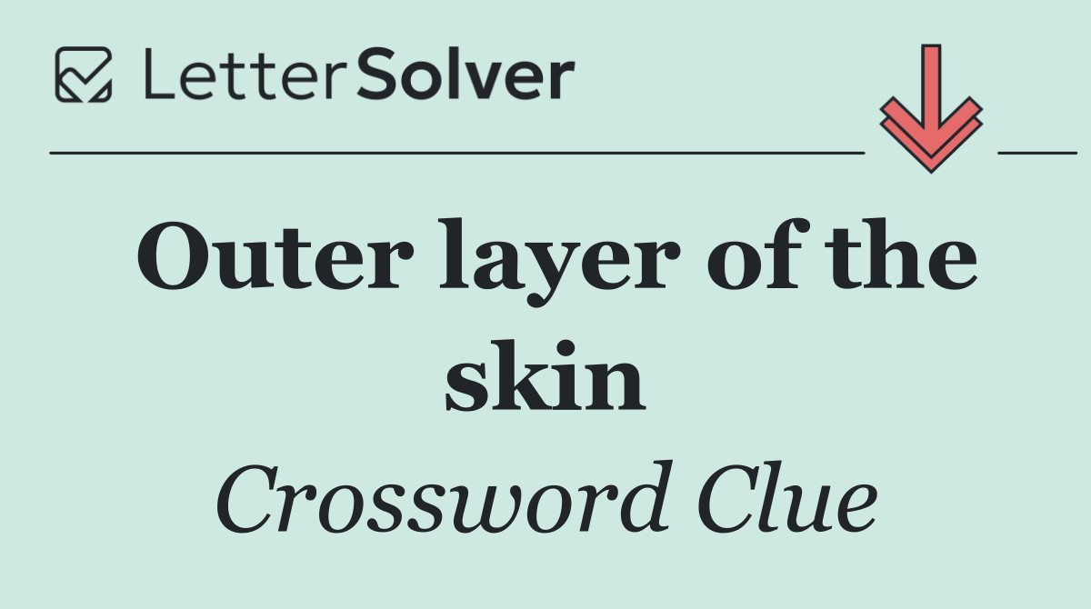 Outer layer of the skin