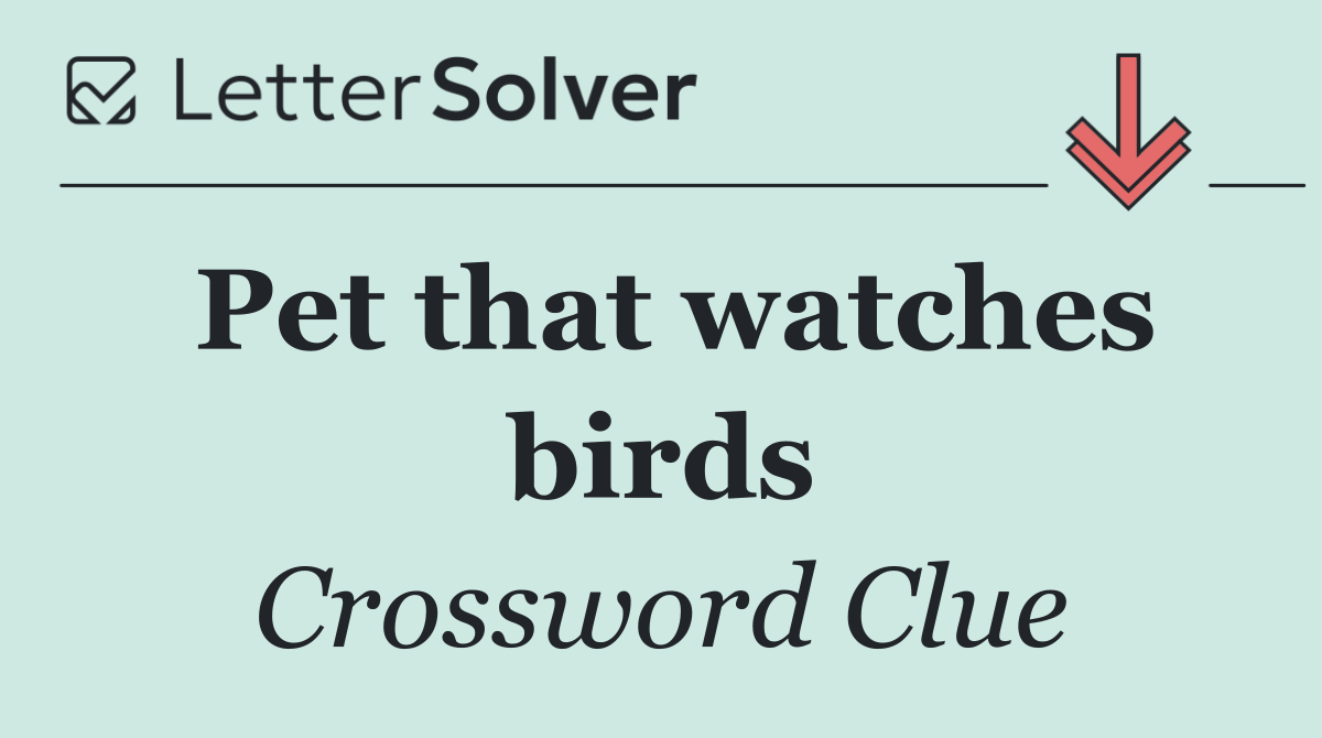 Pet that watches birds