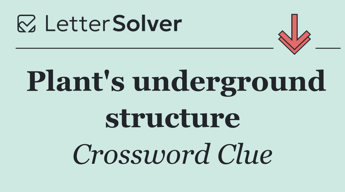 Plant's underground structure