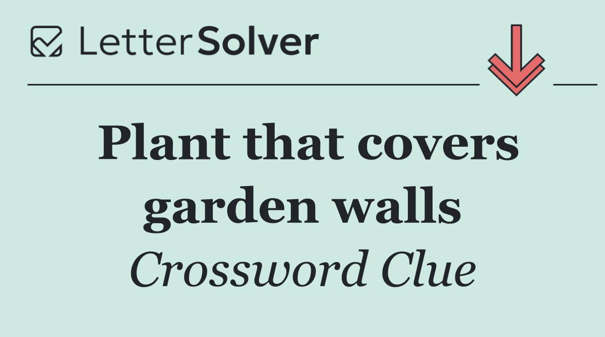 Plant that covers garden walls