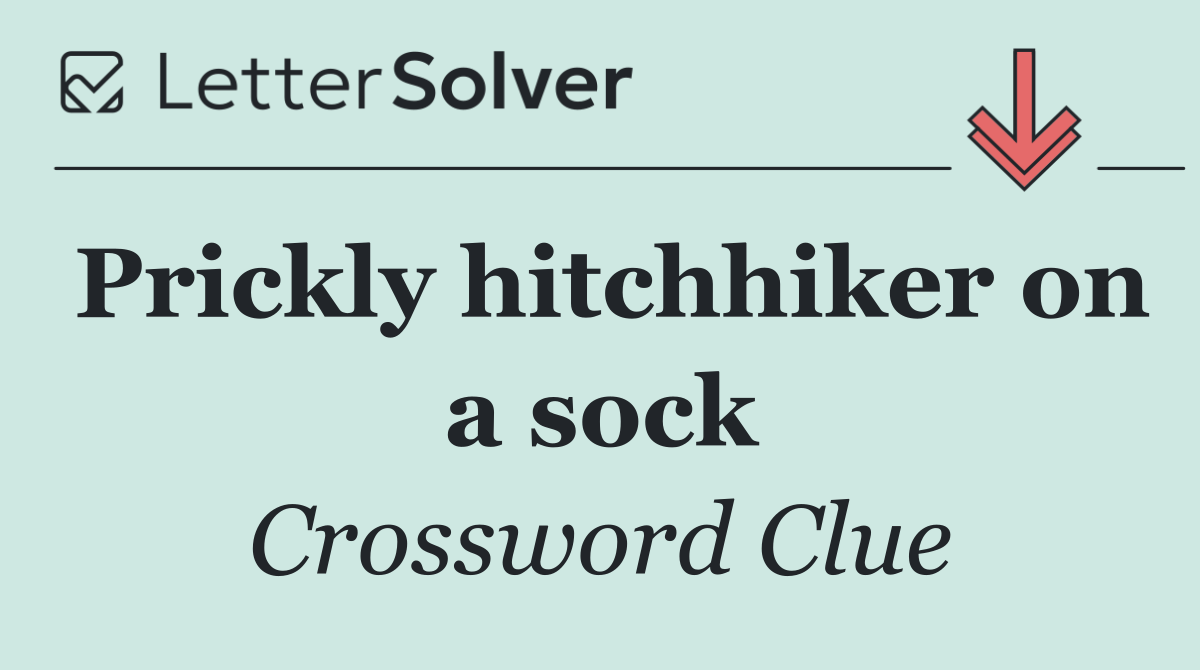 Prickly hitchhiker on a sock
