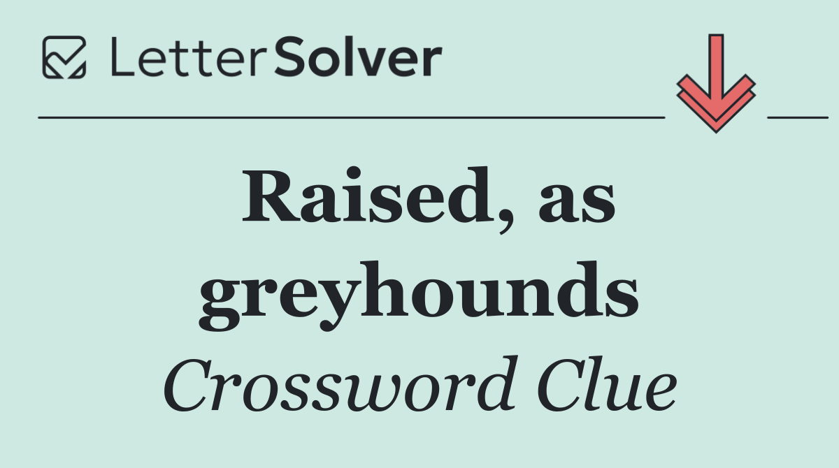 Raised, as greyhounds