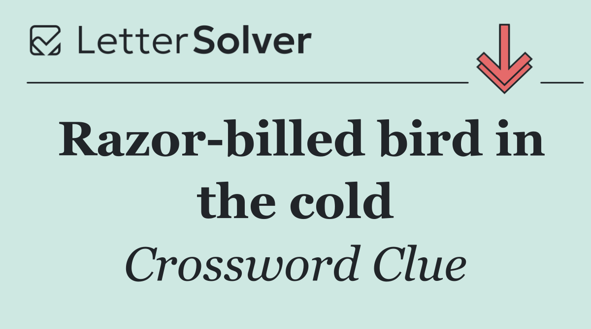 Razor billed bird in the cold