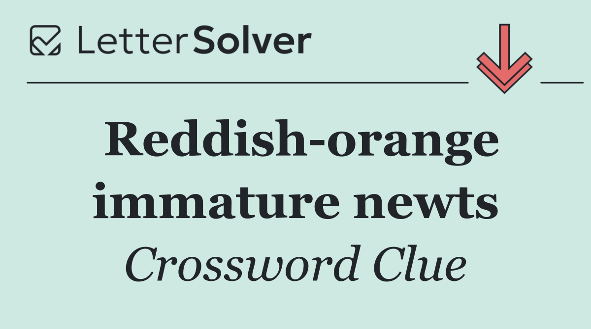 Reddish orange immature newts