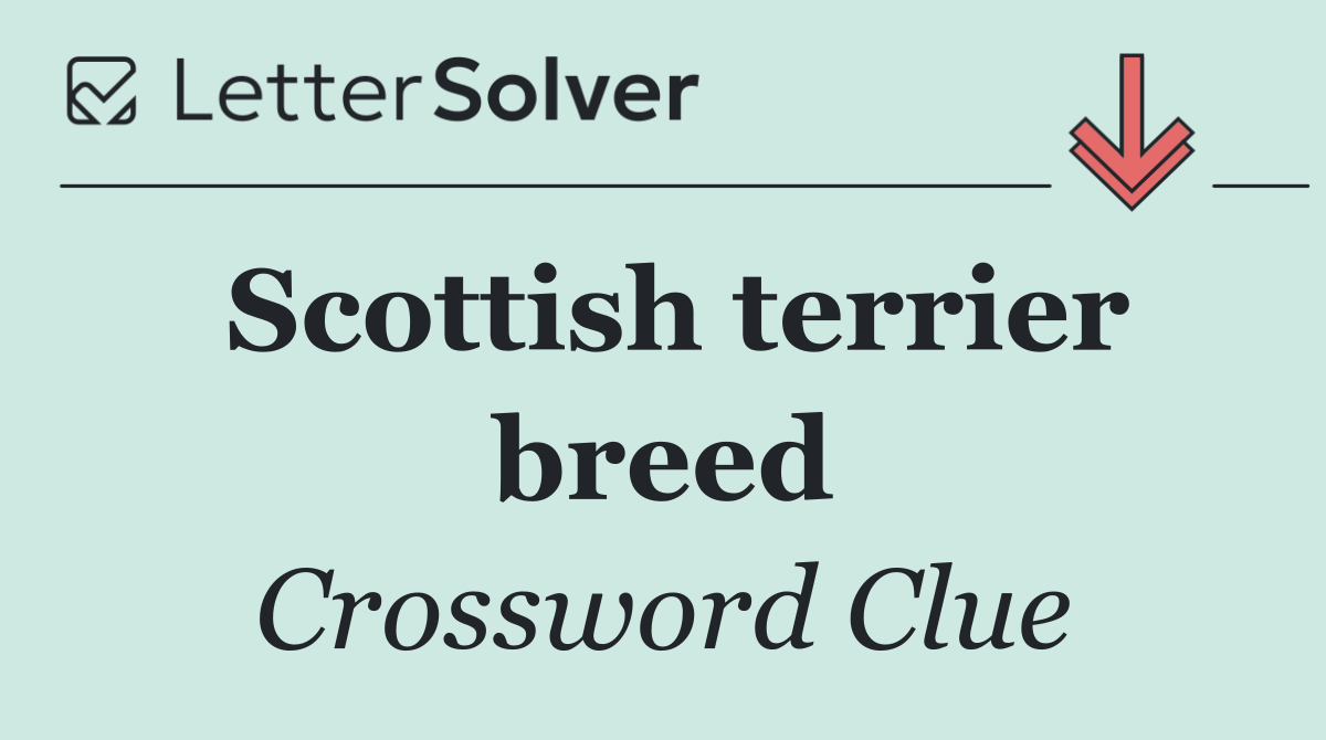 Scottish terrier breed