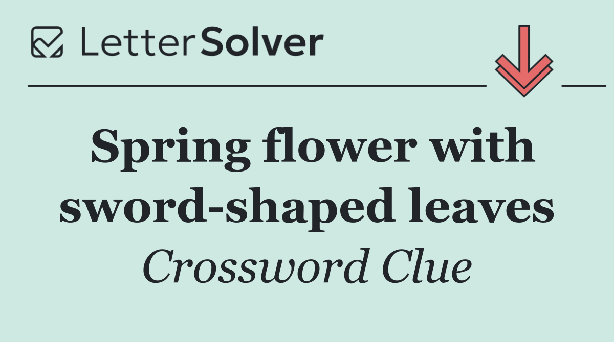 Spring flower with sword shaped leaves