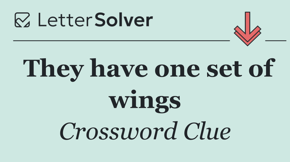 They have one set of wings