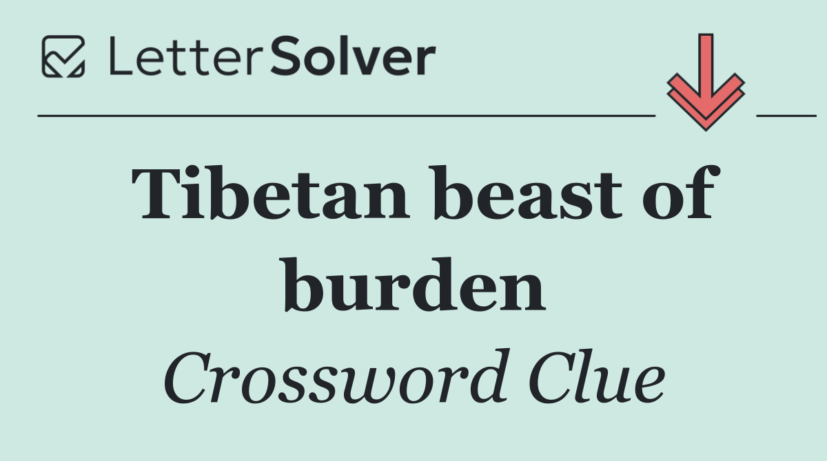 Tibetan beast of burden
