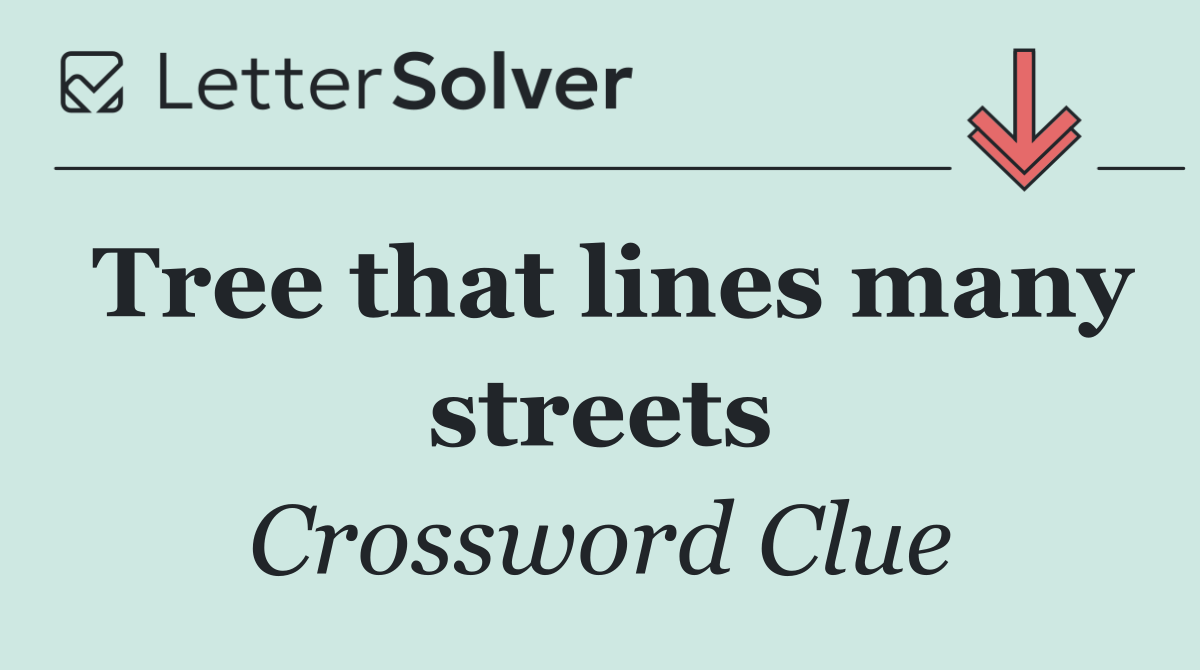 Tree that lines many streets