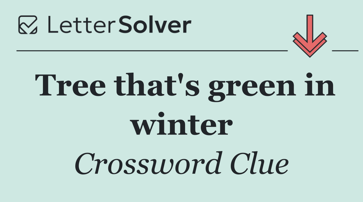 Tree that's green in winter