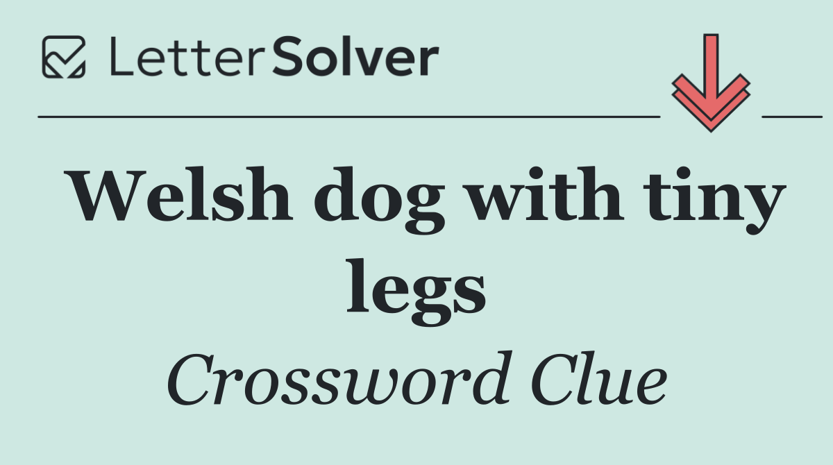 Welsh dog with tiny legs