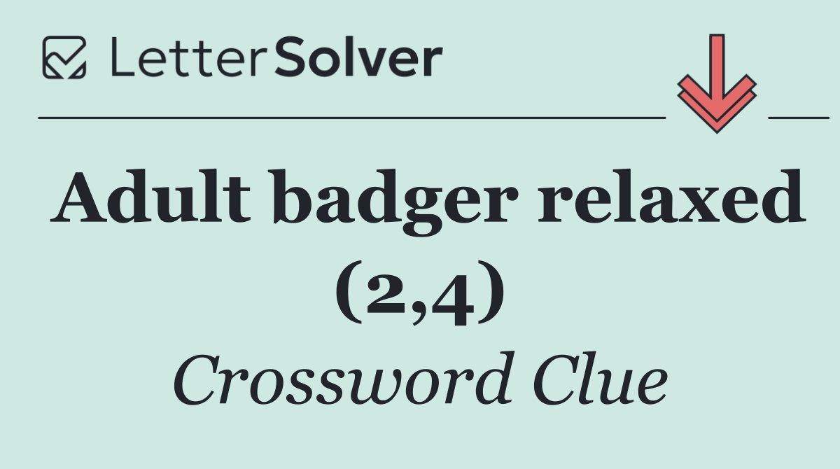 Adult badger relaxed (2,4)