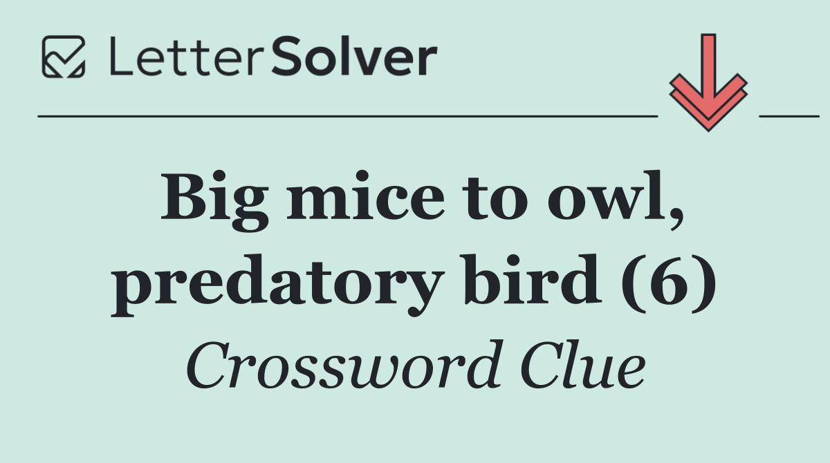 Big mice to owl, predatory bird (6)