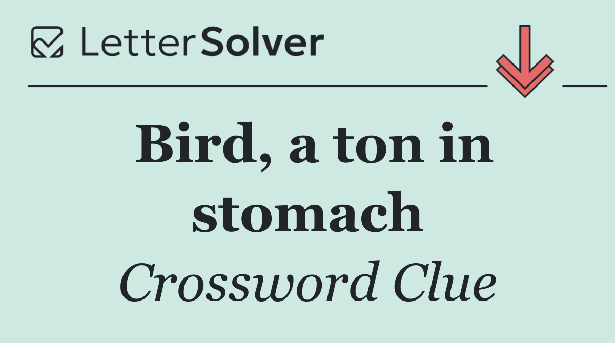 Bird, a ton in stomach
