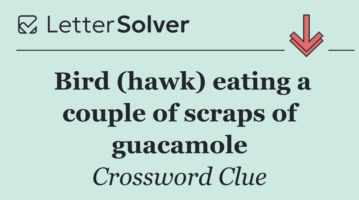 Bird (hawk) eating a couple of scraps of guacamole