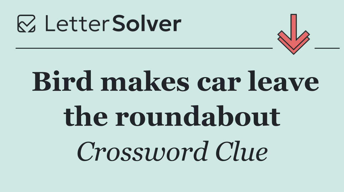 Bird makes car leave the roundabout