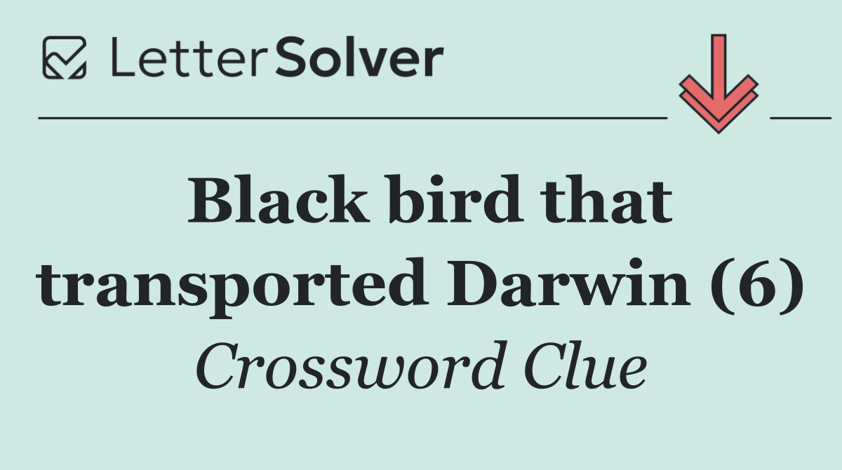 Black bird that transported Darwin (6)