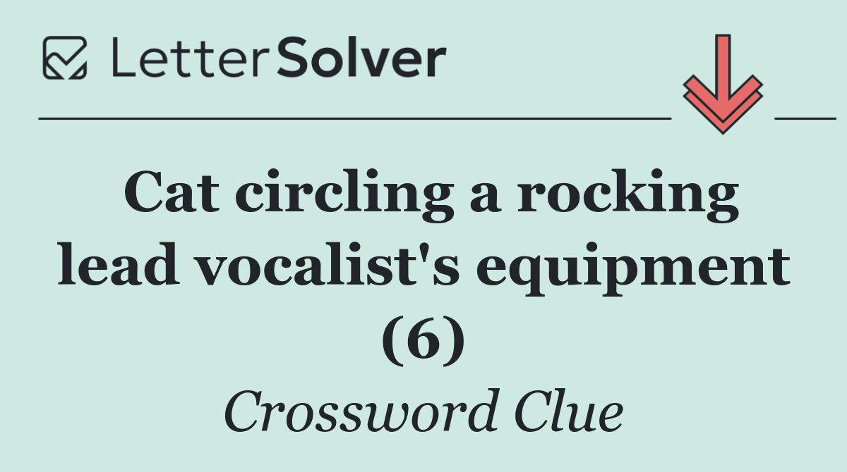 Cat circling a rocking lead vocalist's equipment (6)