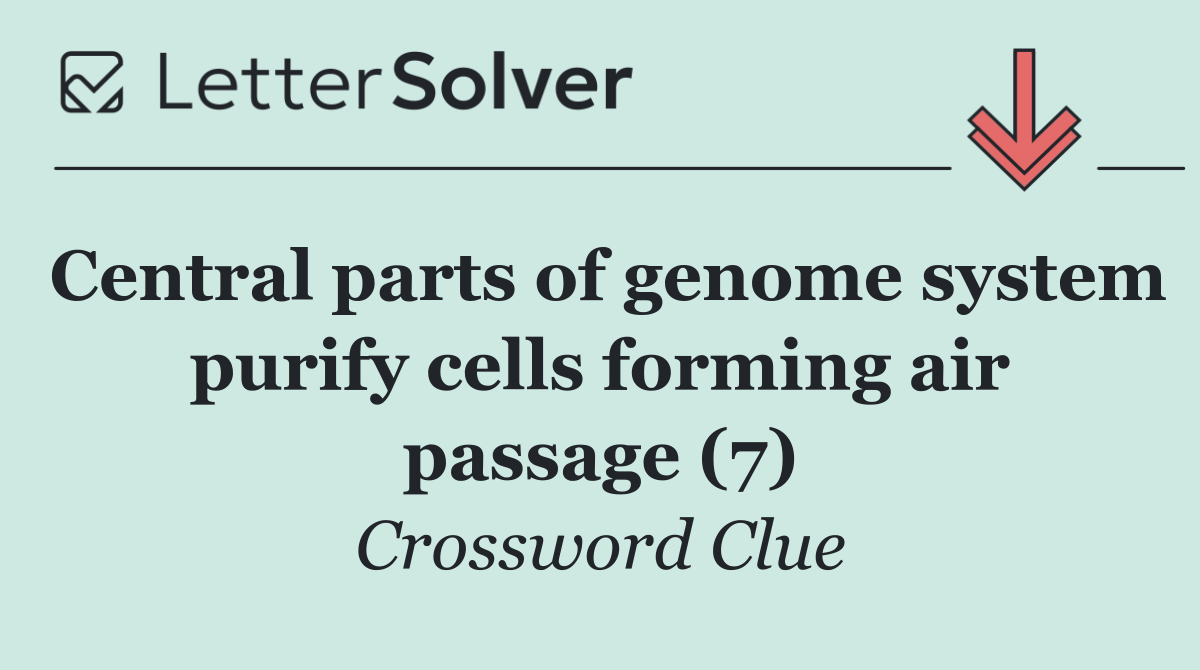 Central parts of genome system purify cells forming air passage (7)