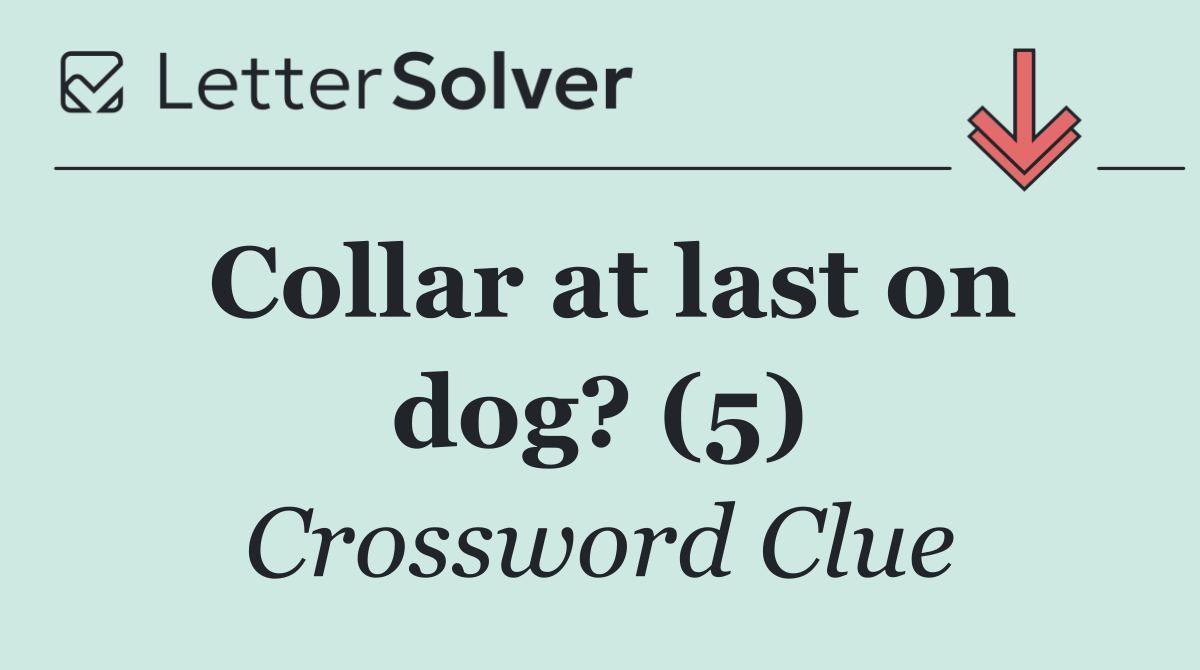Collar at last on dog? (5)