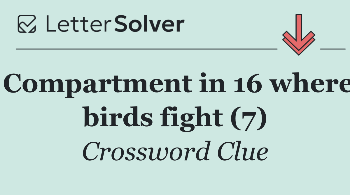Compartment in 16 where birds fight (7)